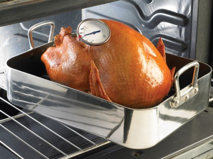 How To Test A Turkey With Meat Thermometer